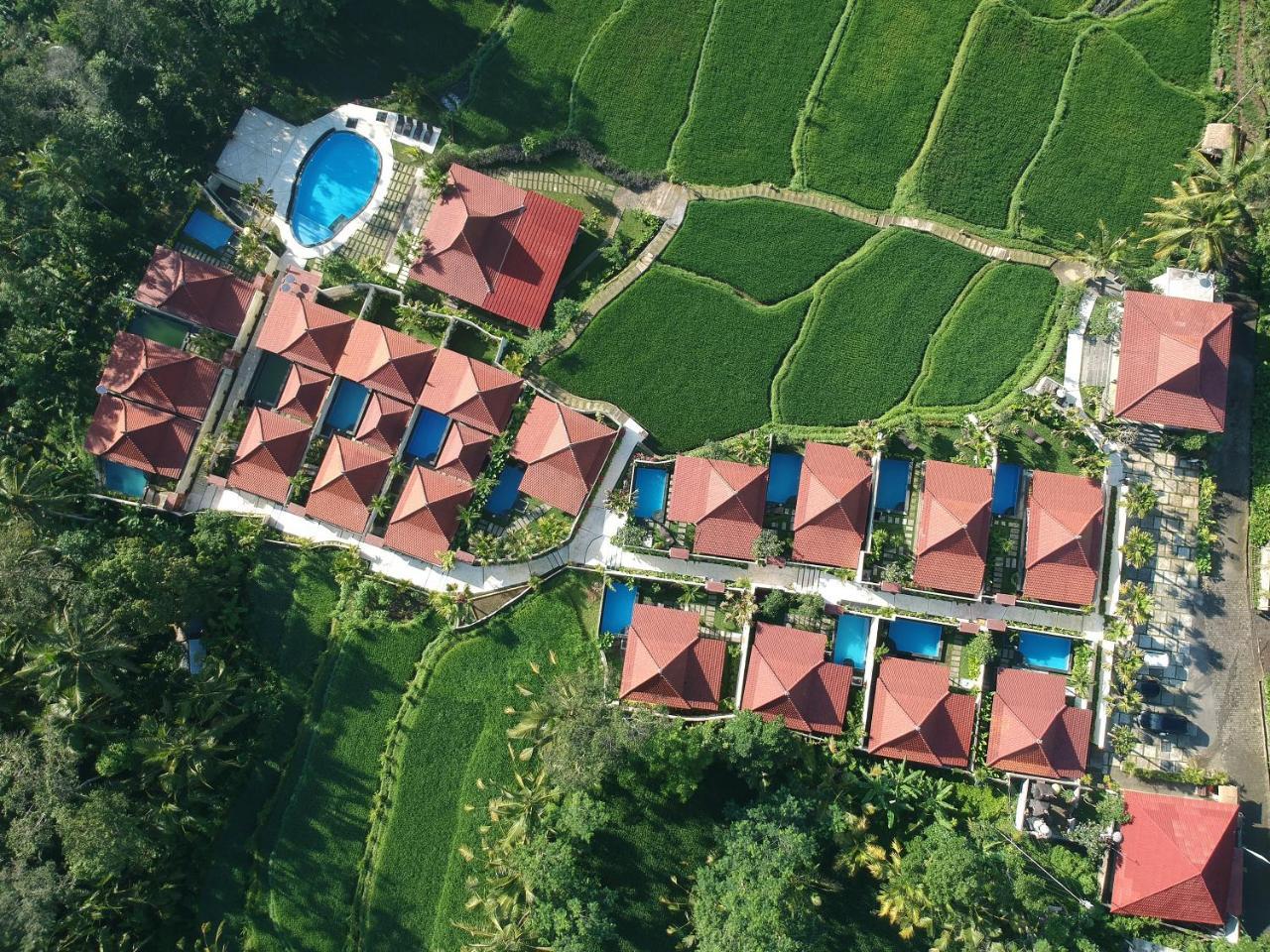 Vrindavan Ubud Villa Tegallalang  Extérieur photo