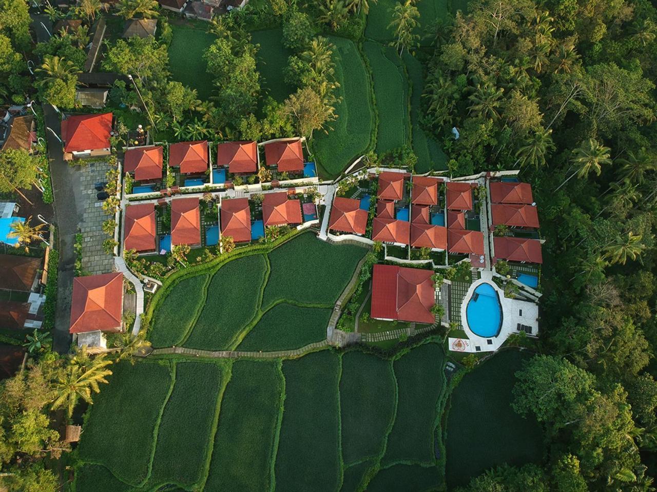 Vrindavan Ubud Villa Tegallalang  Extérieur photo