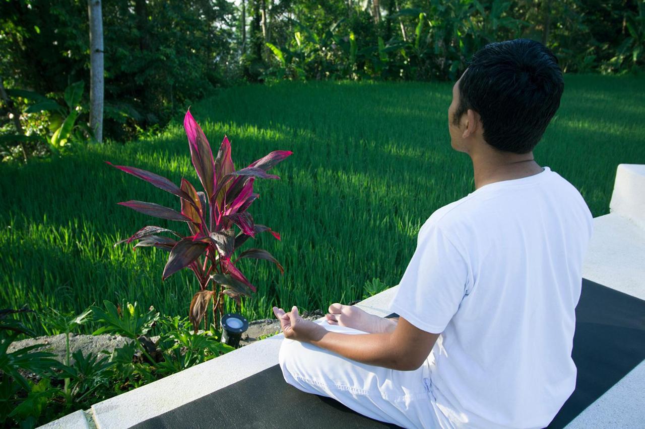 Vrindavan Ubud Villa Tegallalang  Extérieur photo